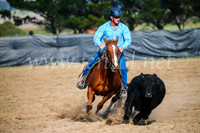 GoulburnCampdraft2017_6015
