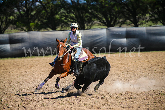 GoulburnCampdraft2017_6139