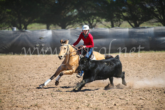 GoulburnCampdraft2017_6293