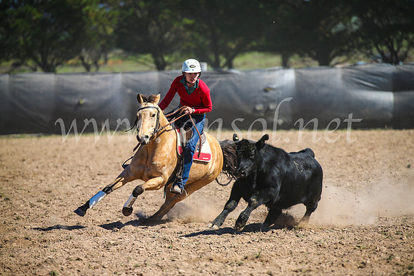 GoulburnCampdraft2017_6298