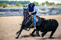 GoulburnCampdraft2017_6064