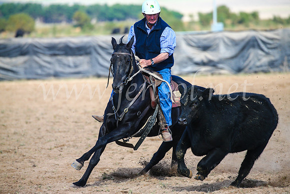 GoulburnCampdraft2017_6064