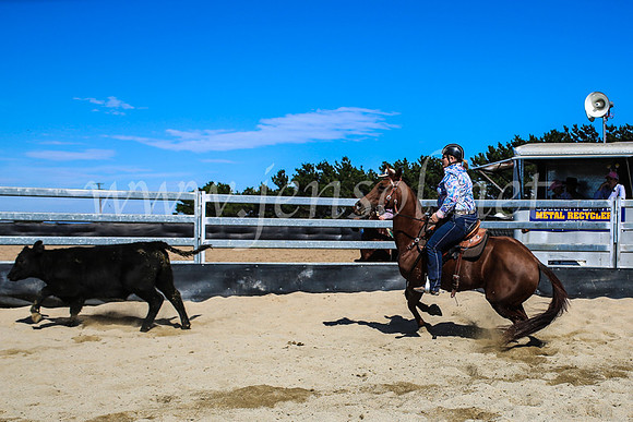 GoulburnCampdraft2017_7446