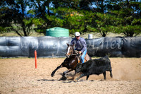 GoulburnCampdraft2017_6066