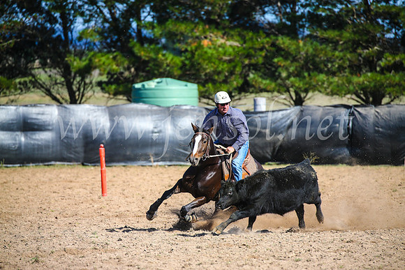 GoulburnCampdraft2017_6066
