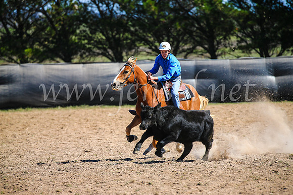 GoulburnCampdraft2017_6192