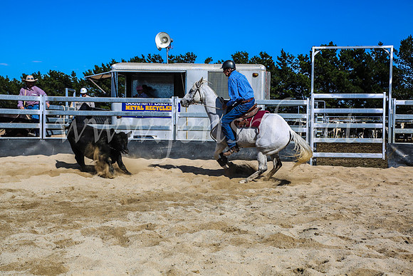 GoulburnCampdraft2017_7431