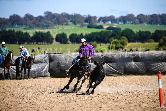 GoulburnCampdraft2017_6247