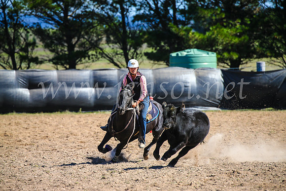 GoulburnCampdraft2017_6158