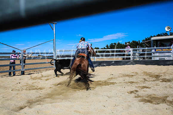 GoulburnCampdraft2017_7449
