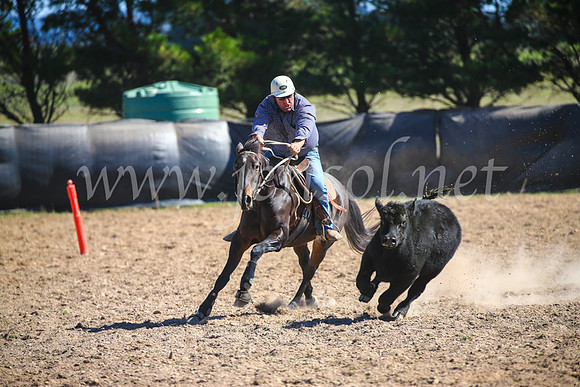 GoulburnCampdraft2017_6418