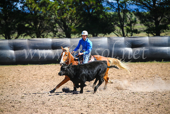 GoulburnCampdraft2017_6182