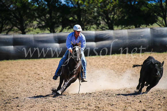 GoulburnCampdraft2017_6370