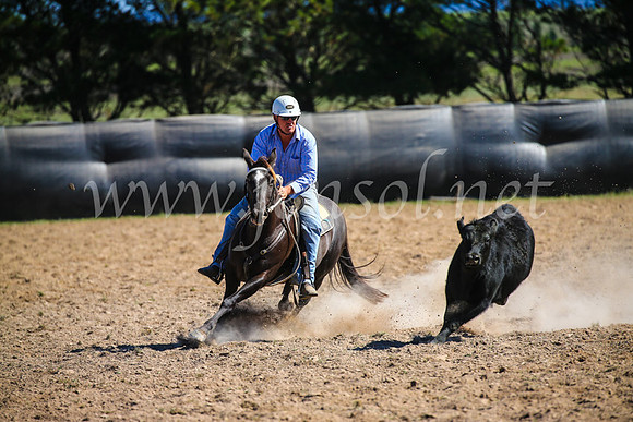 GoulburnCampdraft2017_6376