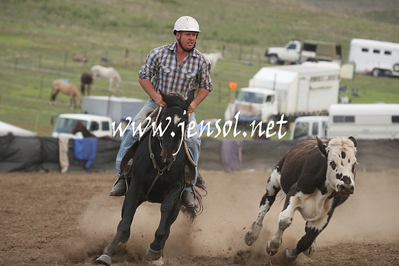 CabanandraCampdraft2013_1D_1515