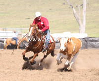 CabanandraCampdraft2013_1D_1109