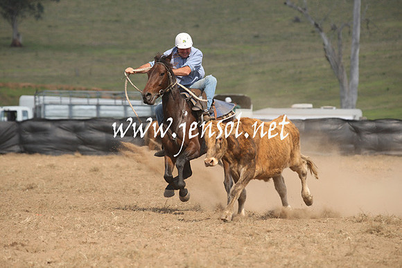 CabanandraCampdraft2013_1D_1150