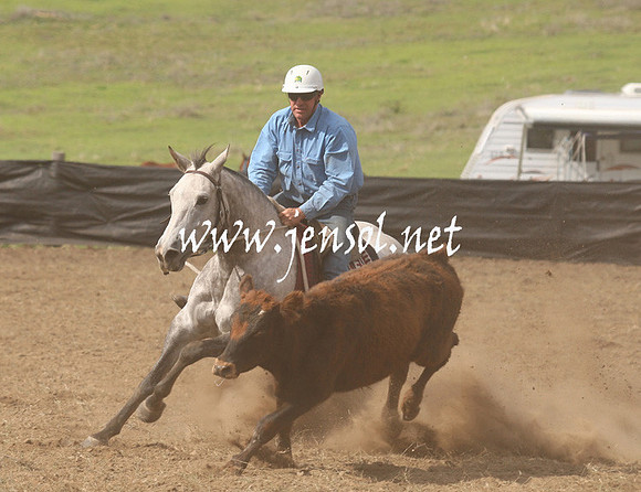 CabanandraCampdraft2013_1D_1172