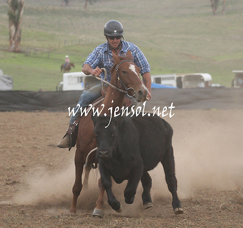 CabanandraCampdraft2013_1D_1483