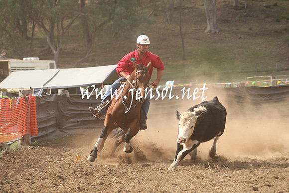 CabanandraCampdraft2013_1D_1192