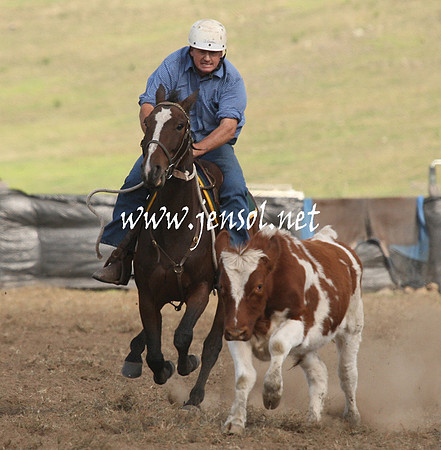 CabanandraCampdraft2013_1D_1282