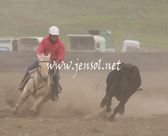 CabanandraCampdraft2013_1D_1469