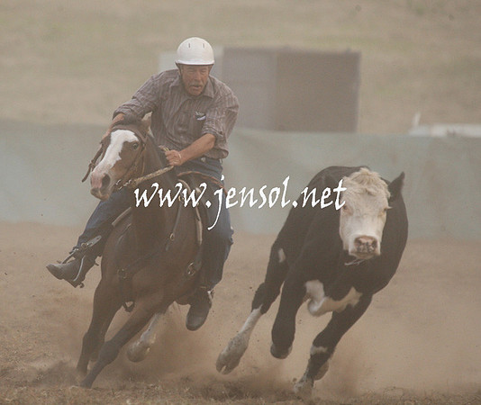 CabanandraCampdraft2013_1D_1519
