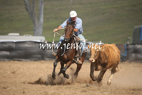 CabanandraCampdraft2013_1D_1149