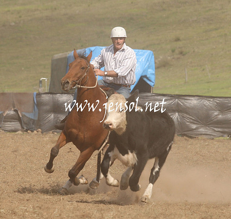 CabanandraCampdraft2013_1D_1157