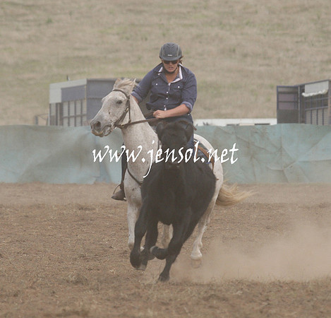CabanandraCampdraft2013_1D_1344