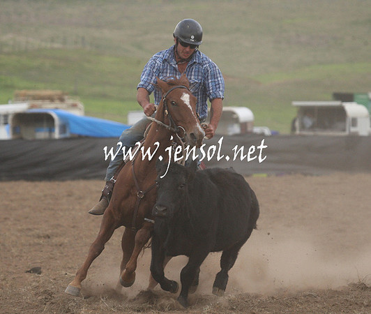 CabanandraCampdraft2013_1D_1476