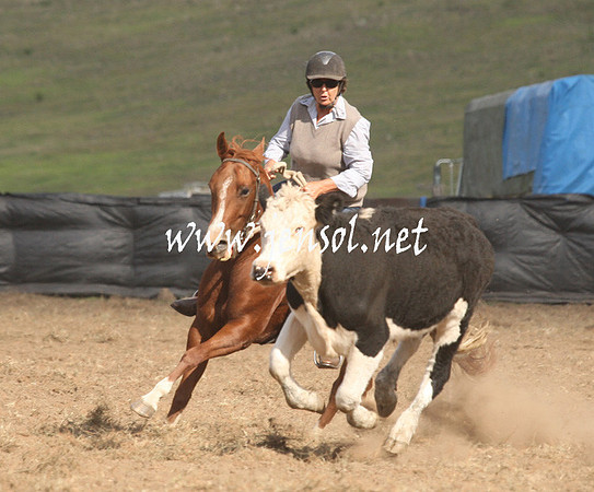 CabanandraCampdraft2013_1D_1250