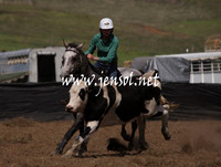 CabanandraCampdraft2013_1D_1067