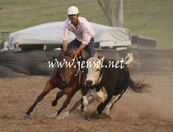 CabanandraCampdraft2013_1D_1578