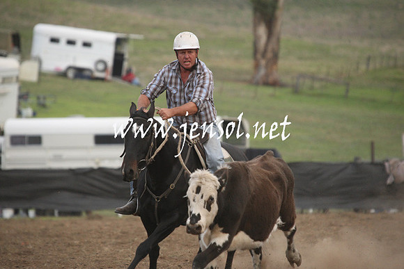 CabanandraCampdraft2013_1D_1514