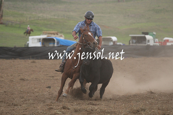 CabanandraCampdraft2013_1D_1478