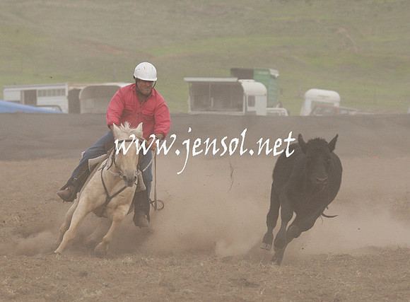 CabanandraCampdraft2013_1D_1466