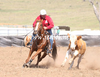 CabanandraCampdraft2013_1D_1107