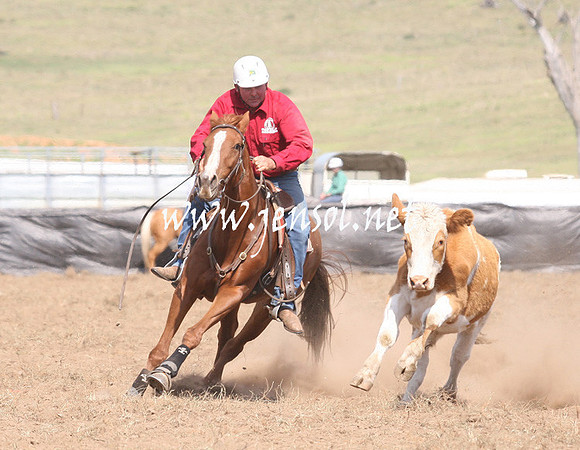 CabanandraCampdraft2013_1D_1107