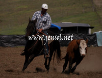 CabanandraCampdraft2013_1D_1094