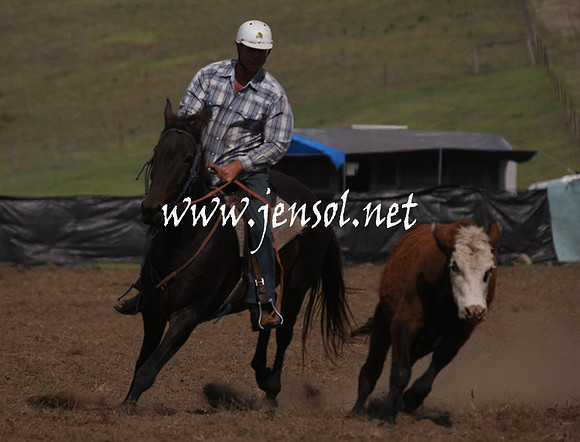 CabanandraCampdraft2013_1D_1094