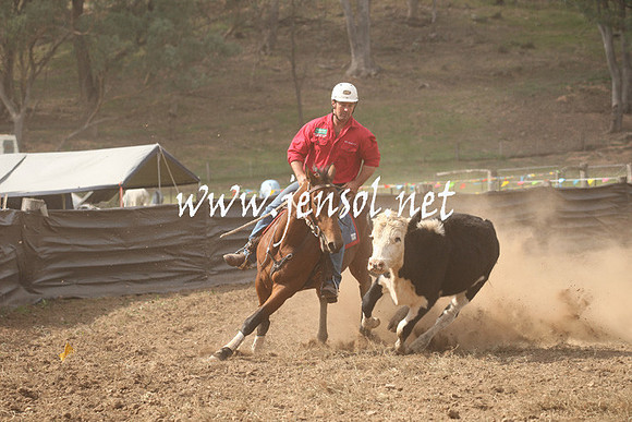 CabanandraCampdraft2013_1D_1189