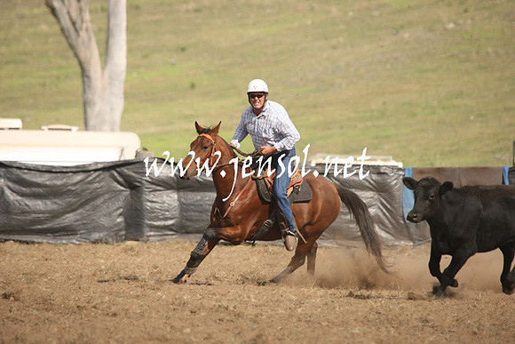CabanandraCampdraft2013_1D_1277