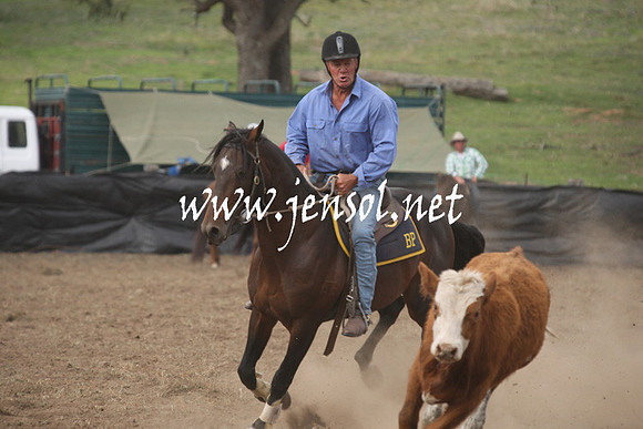 CabanandraCampdraft2013_1D_1211
