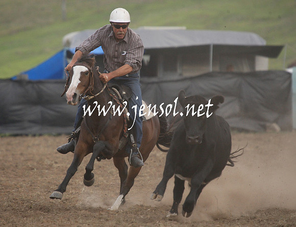CabanandraCampdraft2013_1D_1364