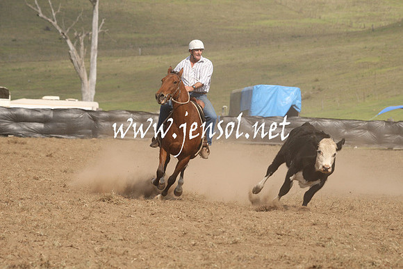CabanandraCampdraft2013_1D_1159