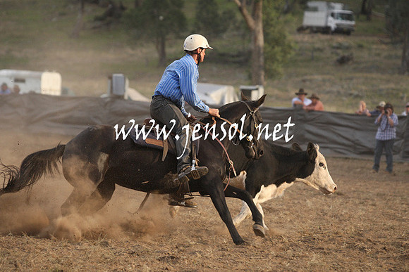 CabanandraCampdraft2013_1D_1575