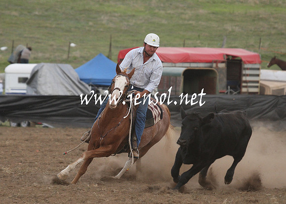 CabanandraCampdraft2013_1D_1488