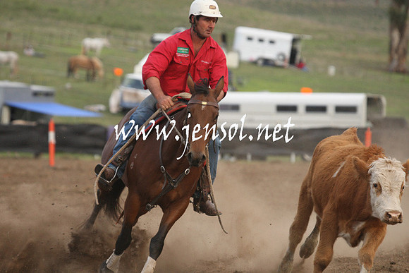 CabanandraCampdraft2013_1D_1553