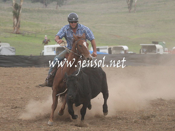 CabanandraCampdraft2013_1D_1480
